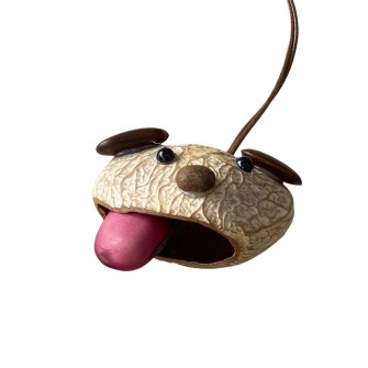 Grigri-Chat en coque de fruit