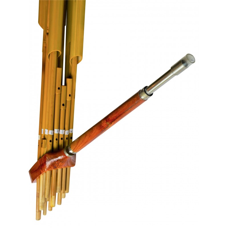 Instrument De La Famille Des Bois Long Tube