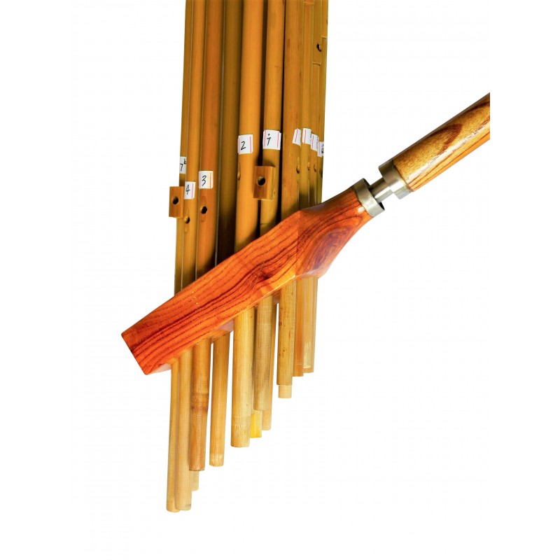 Instrument De La Famille Des Bois Long Tube