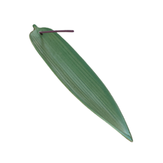 Porte-encens Feuille en...