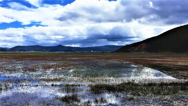 IMG_0724 (1).jpg