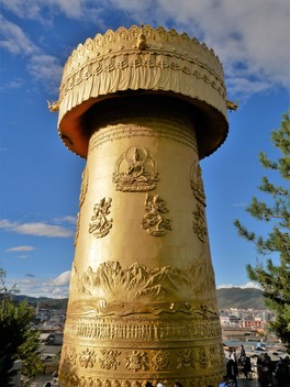 P1000470.jpg
