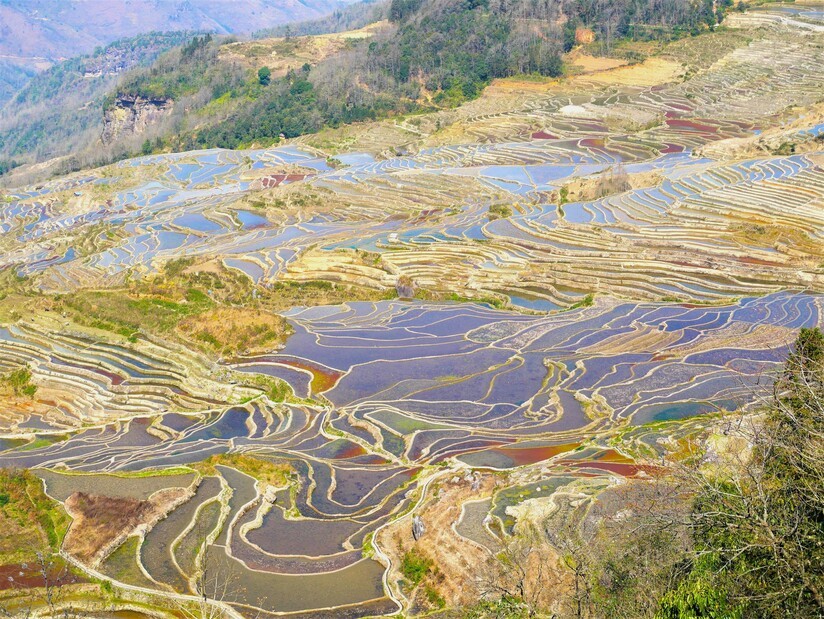 Les rizières en terrasse de Yuan Yang, merveille du peuple Hani